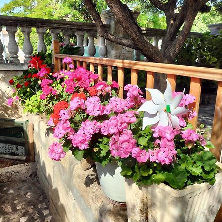 Charmant Appart Avec Jardin Aigues-Mortes Εξωτερικό φωτογραφία