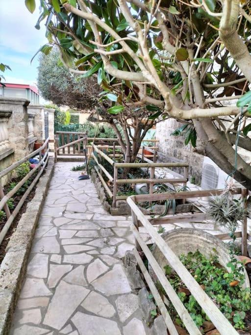 Charmant Appart Avec Jardin Aigues-Mortes Εξωτερικό φωτογραφία