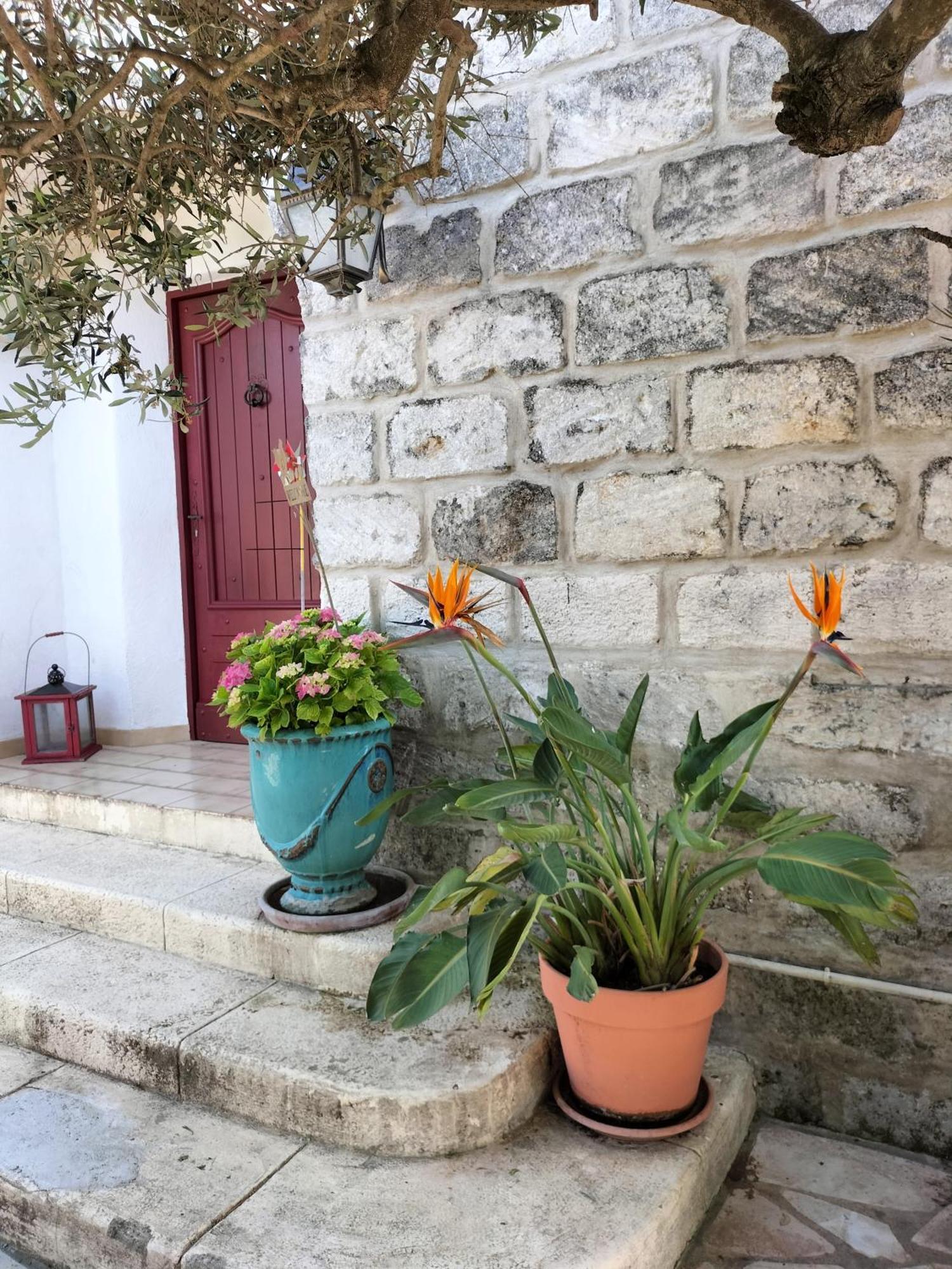 Charmant Appart Avec Jardin Aigues-Mortes Εξωτερικό φωτογραφία
